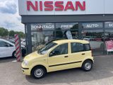 Fiat Panda 1.2 8V Dynamic Automatik - Fiat Panda aus 2009