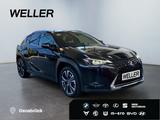 Lexus UX 250h Style Edition *Bi-LED*ACC*CAM*SHZ*CarPla - Lexus Gebrauchtwagen