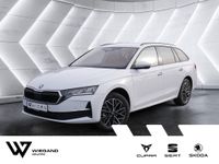 Skoda Octavia - Vorschau Bild 1