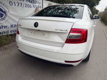 Skoda Octavia - 9