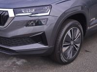 Skoda Karoq - Vorschau Bild 12