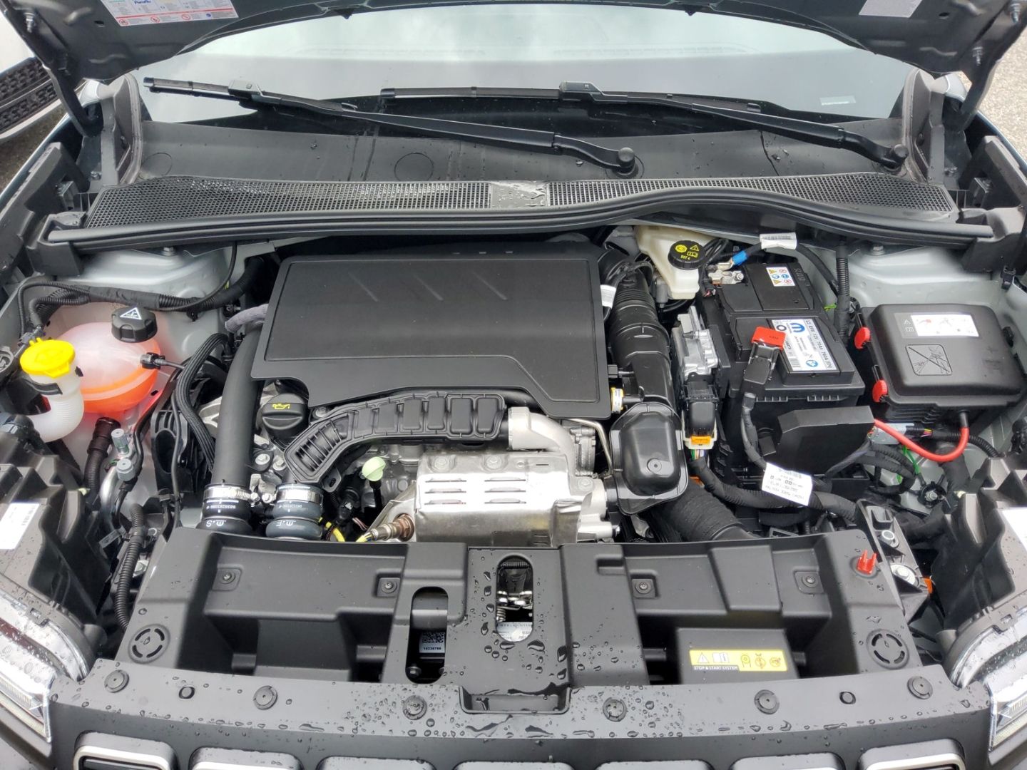 Fahrzeugabbildung Jeep Avenger Altitude LED PDC SHZ Keyless Rückfahrkam