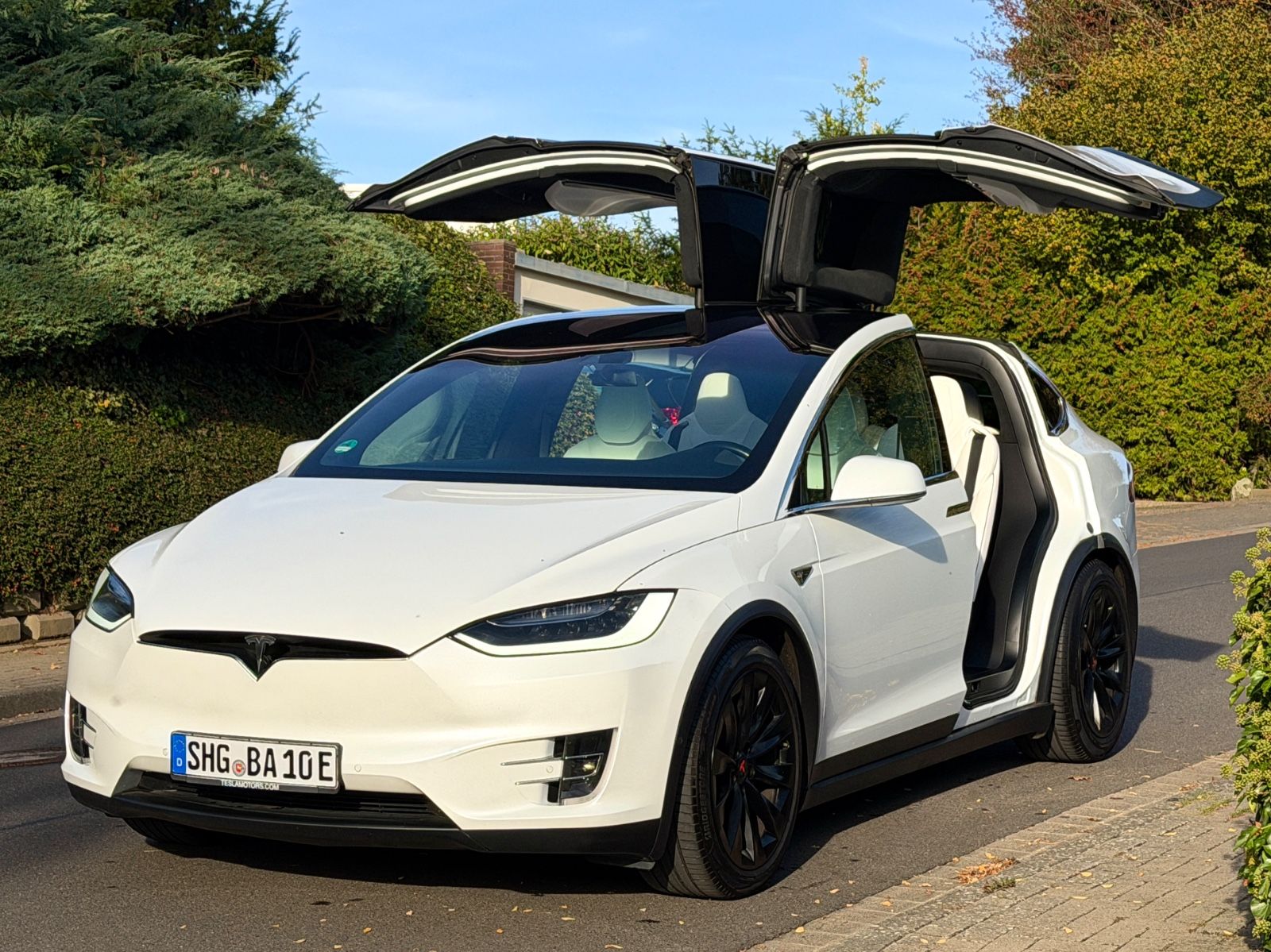 Tesla Model X 60D 6-Sitzer CCS AHK Weißes Interior