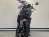 Triumph Trident 660  - TRIUMPH TRIDENT