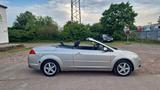 Ford Focus Cabrio PININFARINA/LPG - Ford Focus mit LPG-Antrieb