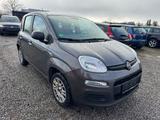 Fiat Panda Easy * Klima* - gebrauchte Fiat Panda aus dem Jahr 2020