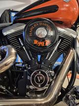 Harley-Davidson Fat Boy FLSTC, FLSTF - HARLEY-DAVIDSON 1998 FAT BOY