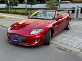 Jaguar XK 5.0 V8 Portfolio Cabriolet - Jaguar XK: Cabrio, 8