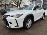 Lexus UX 250h Style LED+Kam+Smartlink+PDC+Alu - Lexus UX: Automatik