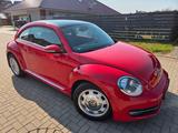 Volkswagen Beetle 1.6 TDI Design Design - Volkswagen Beetle aus 2012 mit Diesel-Antrieb