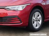 Volkswagen Golf VIII Variant 1.0 eTSI DSG Life AHK NAVI ACC - Volkswagen Golf: Rot