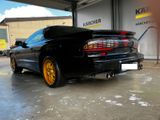 Pontiac Firebird 3.4 V6 mit Targa Dach - TÜV NEU - Pontiac Firebird: Cabrio
