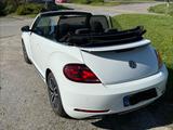 Volkswagen Beetle 2.0 TDI DSG BMT SOUND Cabriolet SOUND - Volkswagen Beetle: TDI