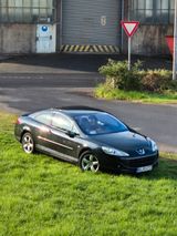 Peugeot 407 Platinum 165 Platinium - Peugeot 407: Platinum