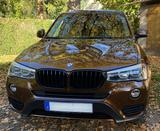 BMW X3 xDrive30d ADVANTAGE AT  - BMW X3: 30d