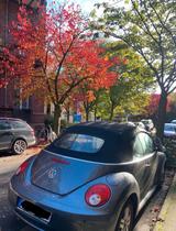 Volkswagen Beetle Cabriolet - Volkswagen Beetle