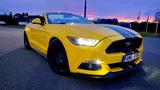 Ford Mustang GT Cabrio Roush 727PS - Ford Mustang: Roush