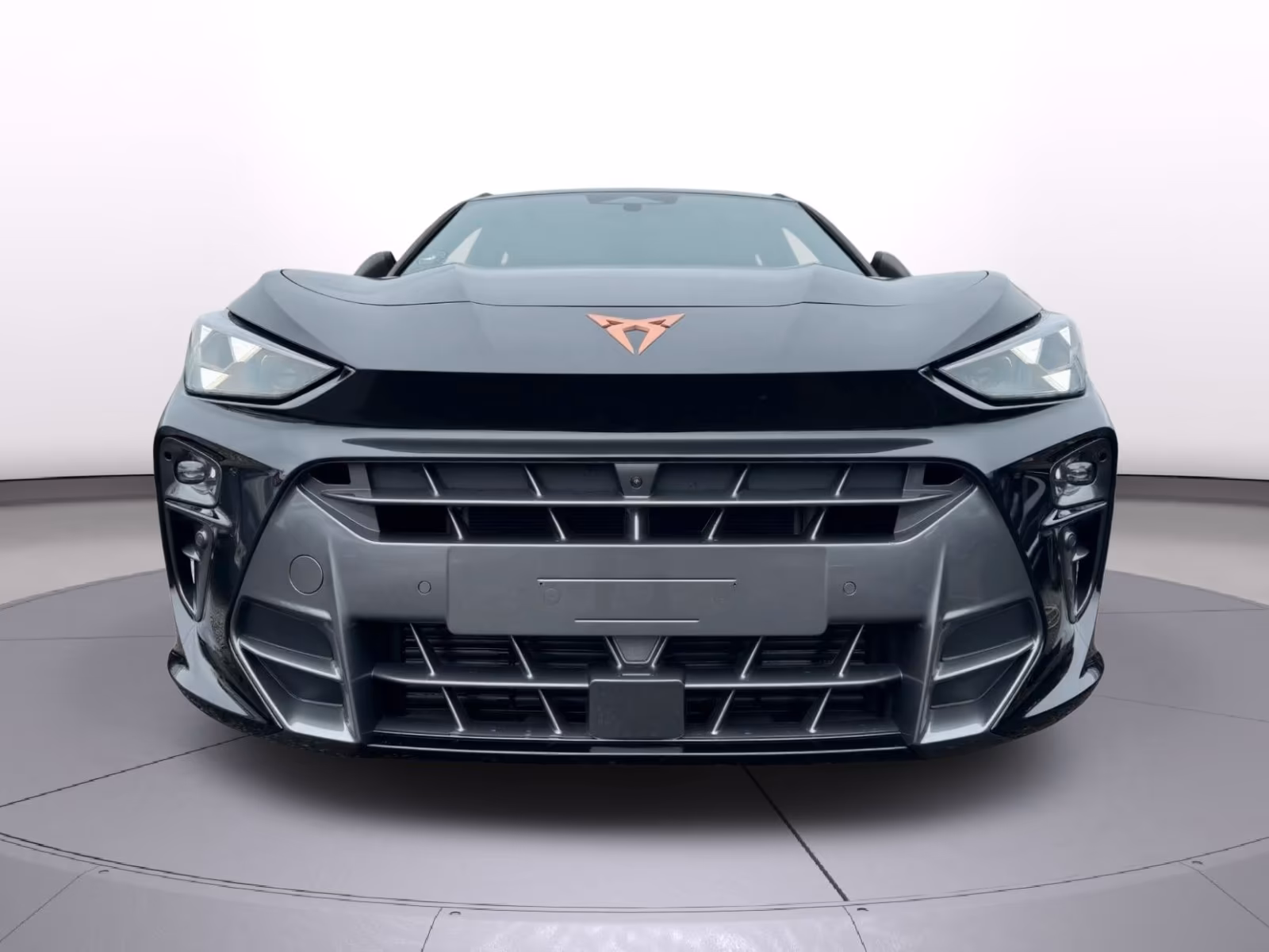 Cupra Terramar VZ 2.0 TSI 4Drive Pano/HUD/360°Kamera