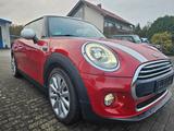 MINI COOPER Mini 3-trg. Cooper - rote MINI Cooper