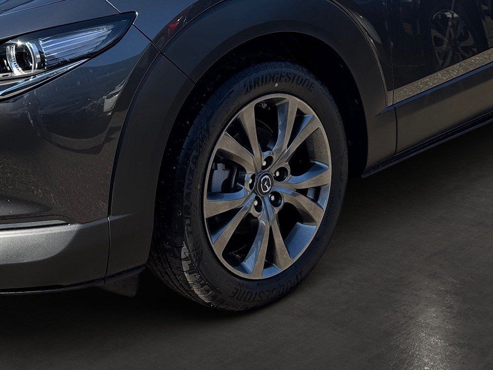 Fahrzeugabbildung Mazda CX-30 X 2.0i 186PS Exclusive