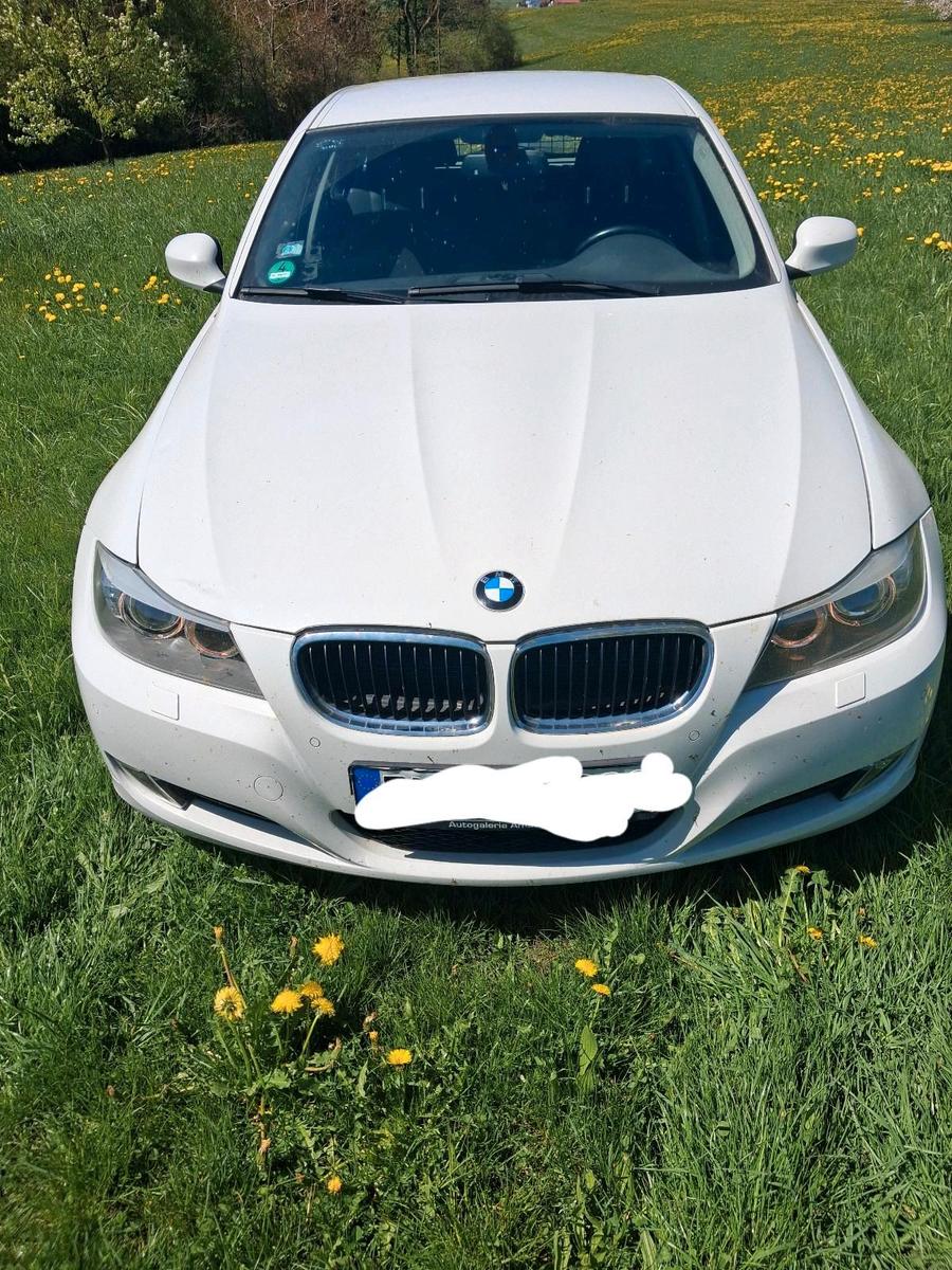 BMW 320 2009 — rear view