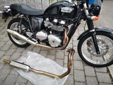 Triumph Thruxton 900 EFI 986ME2 - Angebote entsprechen deinen Suchkriterien