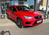 Cupra Ateca 2.0 TSI 221kW 4Drive DSG - - rote Cupra Ateca