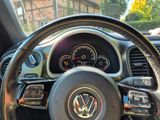 Volkswagen Beetle 1.2 TSI BMT ALLSTAR Cabriolet ALLSTAR - Volkswagen Beetle in Dortmund