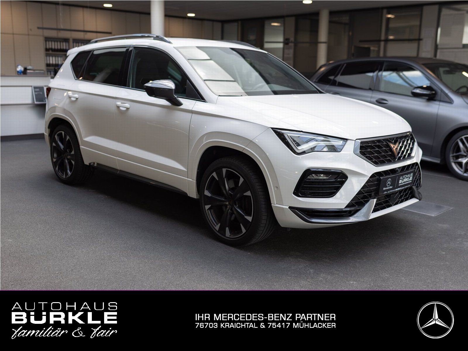 CUPRA Cupra Ateca 4Drive ABT 360PS,ACC,360°,AHK,Schale
