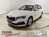 Skoda Octavia Combi 1.0 TSI Active LED|Klima|Temp. - Skoda Octavia Active mit Benzin-Antrieb