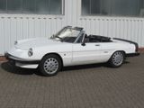 Alfa Romeo Spider 1.6 mit Hardtop & Softtop - Alfa Romeo aus 1988
