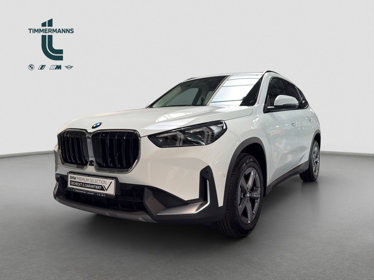 BMW X1 - Bild 1