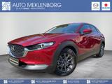 Mazda CX-30 "Selection" 2.0l "AHK" M Hybrid - Mazda CX-30 Gebrauchtwagen in Berlin
