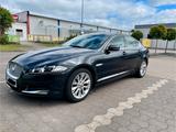Jaguar XF 2.2 L Diesel - - gebrauchte Jaguar XF aus dem Jahr 2014