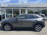 Mazda CX-30 SKYACTIV-X 2.0 M Hybrid - Mazda CX-30 aus 2019