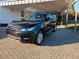 Land Rover Range Rover Sport SD4 S*NeuMotor 36tkm* Luft,AHK - Land Rover Range Rover Sport von privat