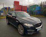 Jaguar F-Pace F-PACE Pure AWD Bi-Xenon - Jaguar F-Pace: Pure