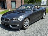 BMW 220iA Cabrio LUXURY LINE NAVI KEYLESS HIFI LEDER - gebrauchte BMW 220 aus dem Jahr 2017