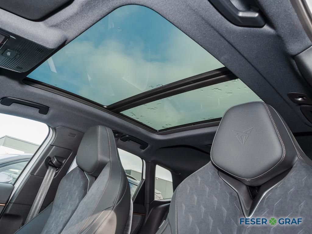 Cupra Terramar - Bild 12