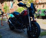 Benelli Leoncino  - BENELLI LEONCINO