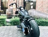 Harley-Davidson Cross Bones - Offers