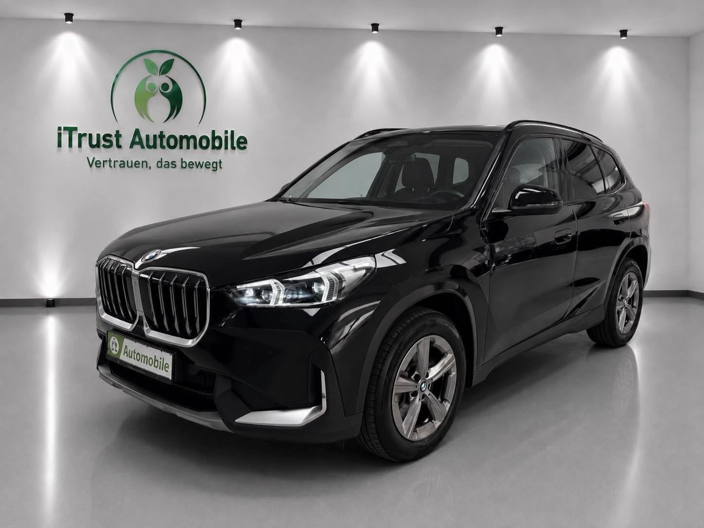 BMW X1 xDrive 23d KAMERA ACC LIC-PROF DA-PROF AHK, миниатюра 3