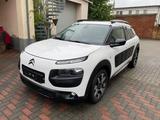 Citroën C4 Cactus Panorama,NAVI,Kamera,Parkhilfe - Citroën C4 Cactus in Dresden