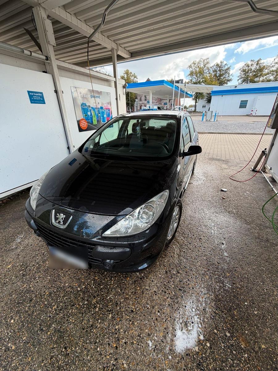 Peugeot 307, 2006