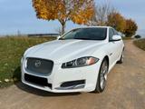 Jaguar XF Limousine 2.0 Merridian Surround 20Zoll Leder - Jaguar XF mit Benzin-Antrieb: Limousine