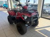Kawasaki KVF300C m. Anhängerkupplung - KAWASAKI QUAD