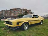 Ford Mustang mach1 - gebrauchte Ford Mustang aus dem Jahr 1971