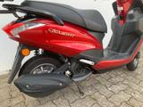 Yamaha Delight XC115S Windschild + Topcase - Offers matching your search criteria