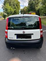 Fiat Panda 1.1 8V Active - Fiat Panda Active mit Benzin-Antrieb