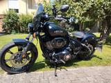 Indian Chief Dark Horse - Offers